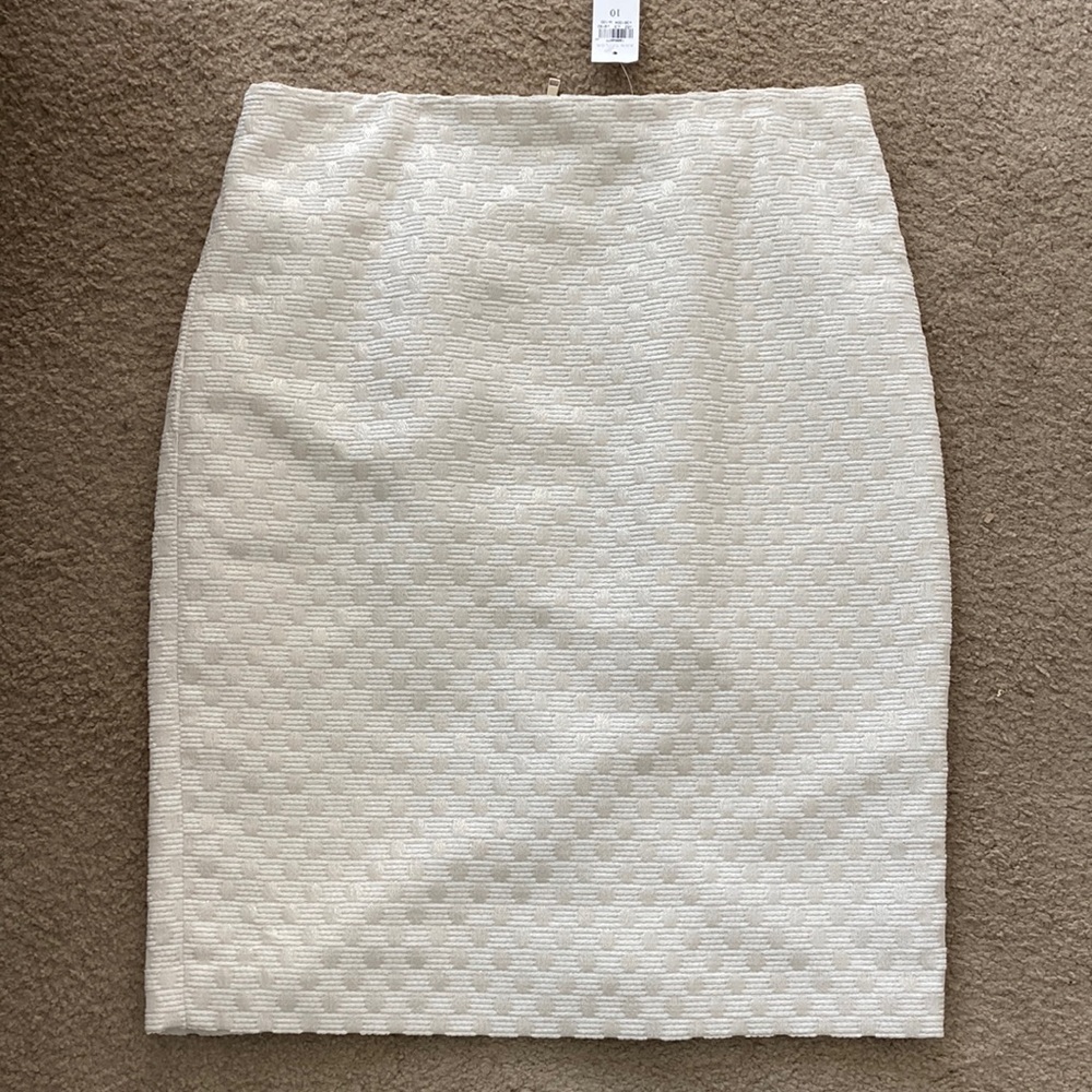 Ann Taylor metallic skirt